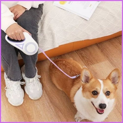 Laisse-pour-chien-enrouleur-jusqu-a-3-m-avec-lumière-LED-violet