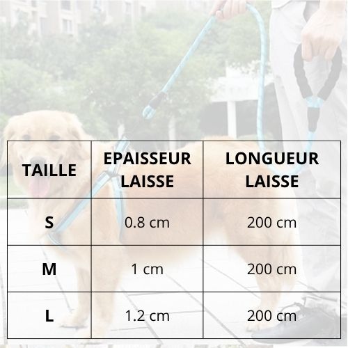 Laisse-pour-chien-résistante-avec-poignée-ergonomique-taille