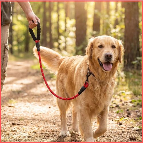 Laisse pour chien résistante avec poignée ergonomique |Corda™