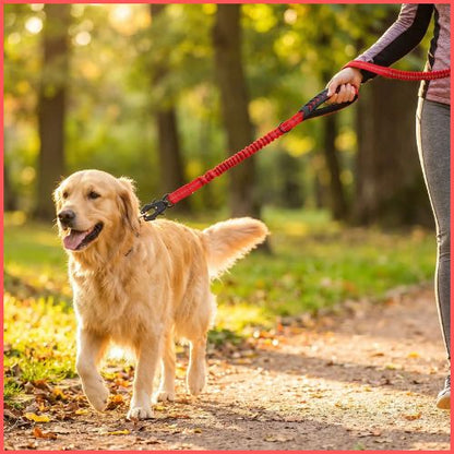 Laisse-chien-extensible-2-en-1-pour-promenade-et-voiture-rouge