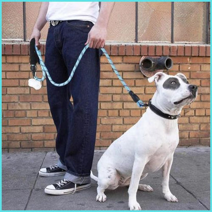 Laisse-pour-chien-turquoise