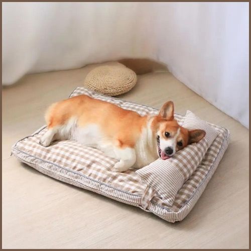 Lit-pour-chien-en-taille-moyenne-déhoussable-repos