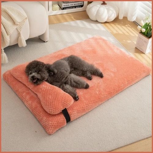 Lit-pour-chien-xxl-déhoussable-à-mémoire-de-forme-corail
