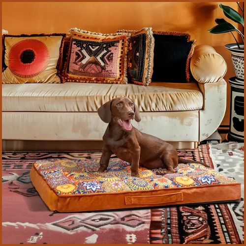 Lit-pour_chien_orthopédique-marron