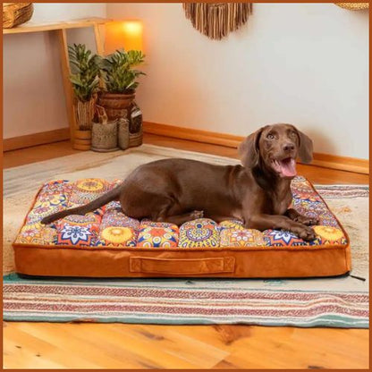 Lit_pour_chien_orthopédique-style