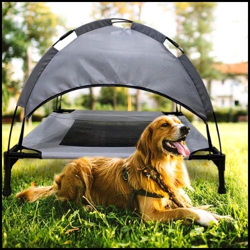 Lit_pour_chien_surélevé-grande-taille-labrador