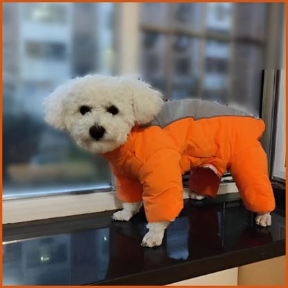 Manteau-chien_doublure-polaire-orange-femelle