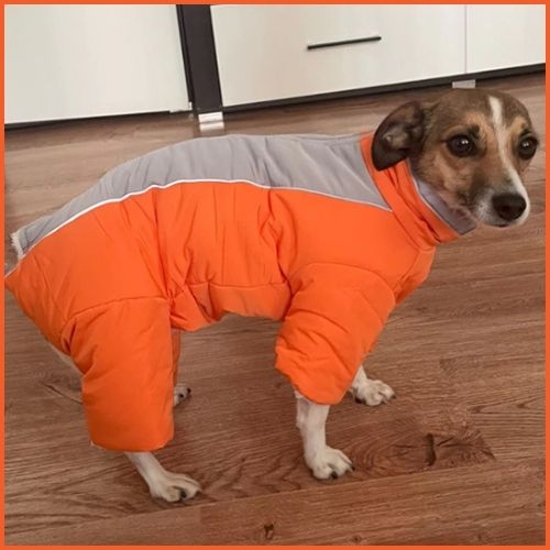 Manteau-chien_doublure-polaire-orange-male