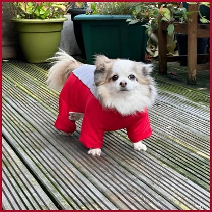 Manteau-chien_doublure-polaire-rouge-femelle
