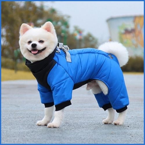 Manteau-chien_salopette-avec-harnais-intégrée-bleu