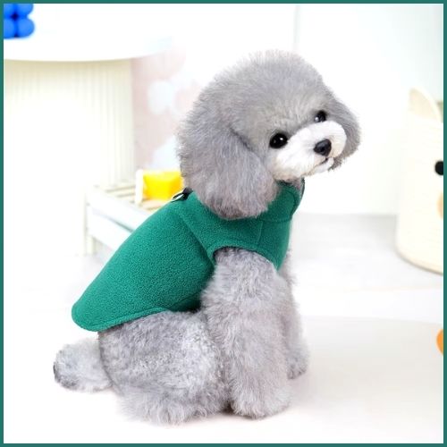 Manteau-petit-chien- chaud-et-confortable-vert