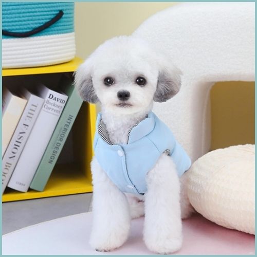 Manteau-pour-chien-rembourré_bleu