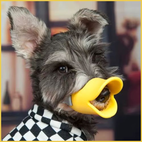 Muselière-chien-en-silicone-pour-petite-taille-jaune