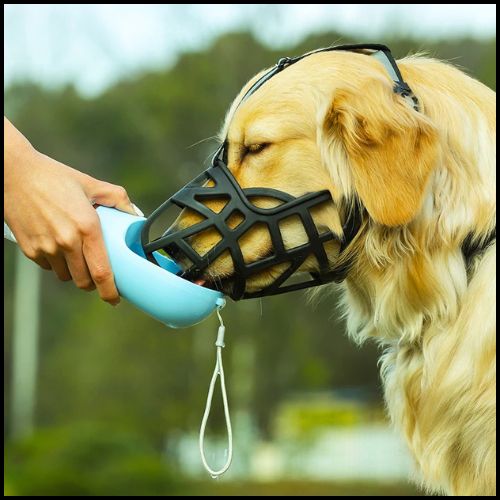 Muselière-pour-chien-grande-taille-panier-respirantent-soif