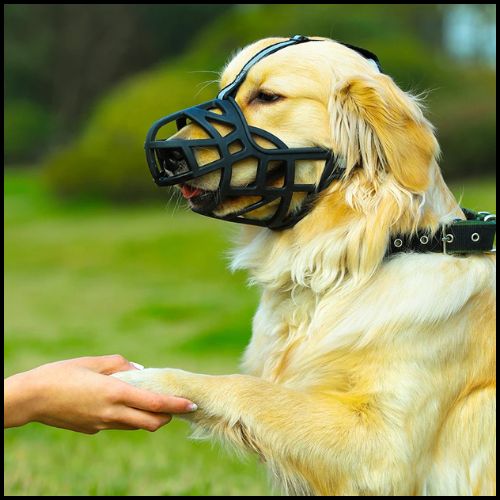 Muselière-pour-chien-grande-taille-panier-respirante-labrador