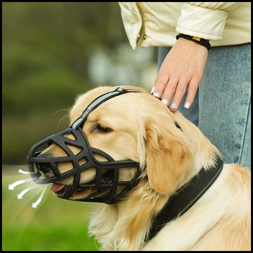 Muselière-pour-chien-grande-taille-panier-respirante-haletement