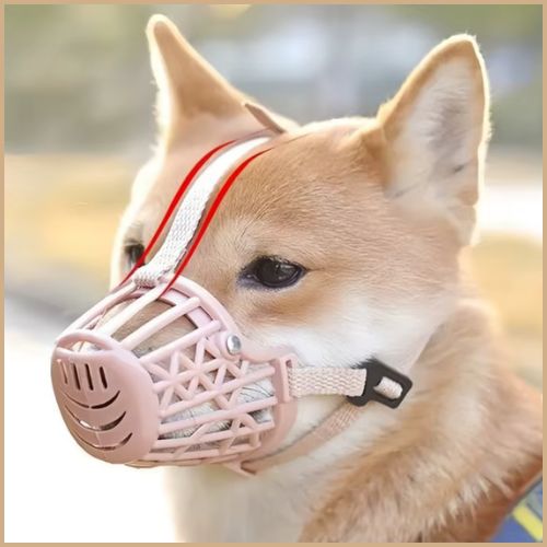 Museliere-pour-chien-panier-plastique-solide-beige-shiba