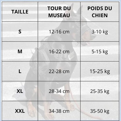 Museliére-pour-chien_à-sangle-avec-attache-pour-laisse-taille