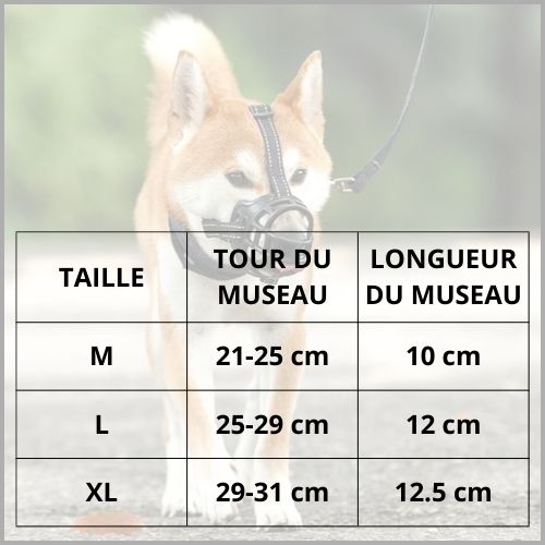 Muselière-pour-chien_taille