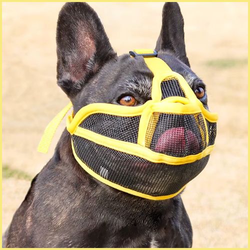 Muselière-chien-à-museau-court-réglable-jaune