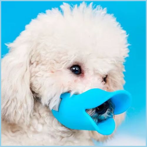 Muselière-chien_en-silicone-pour-petite-taille-bleu