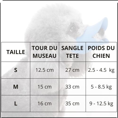 Muselière-chien_taille
