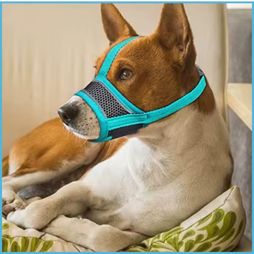 Museliere-pour-chien-anti-aboiement_bleu