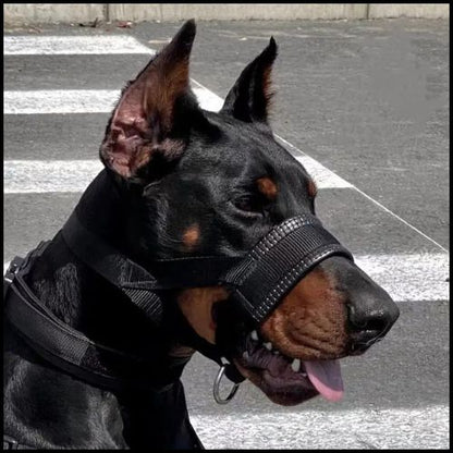 Muselière-pour-chien-sangle-doberman