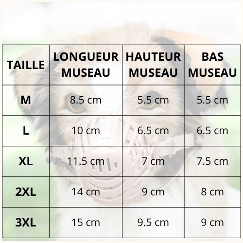 Museliere-pour-chien-taille