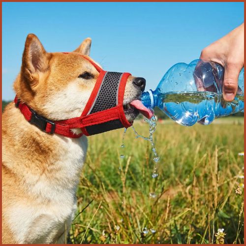 Museliere-pour-chien-triple-attache-en-nylon-réglable-rouge-shiba