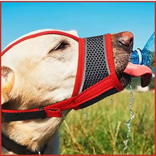 Museliere pour chien | Leo