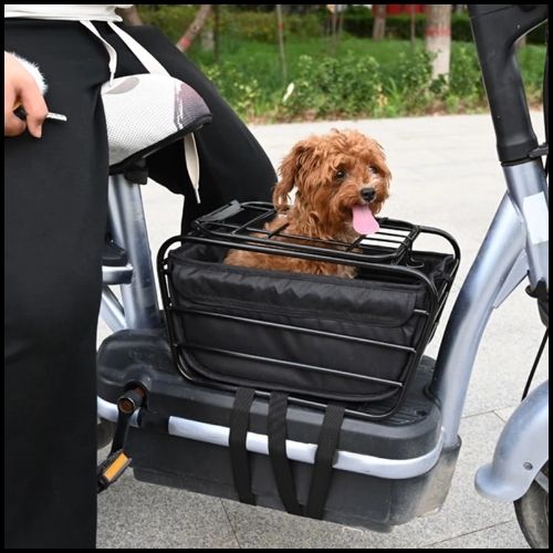 Panier_velo_chien_arriere_securise_pour_petits_chiens-resistant