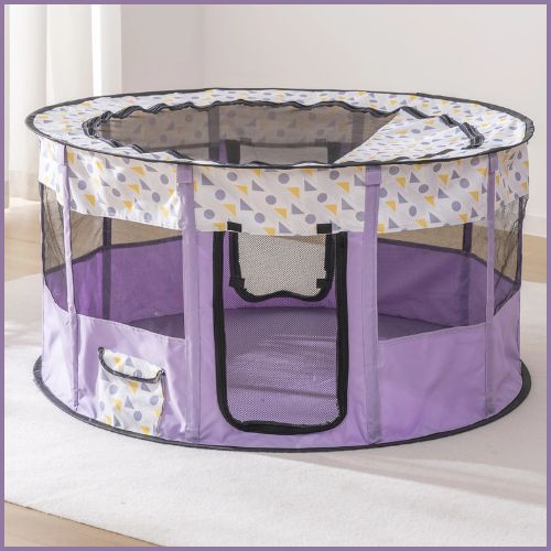 Parc_à-chien_violet