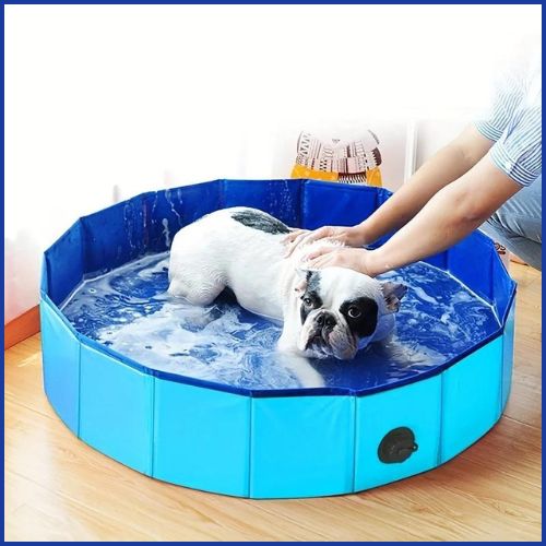 Piscine-pour-chien-pliable-et-anti-chaleur eau