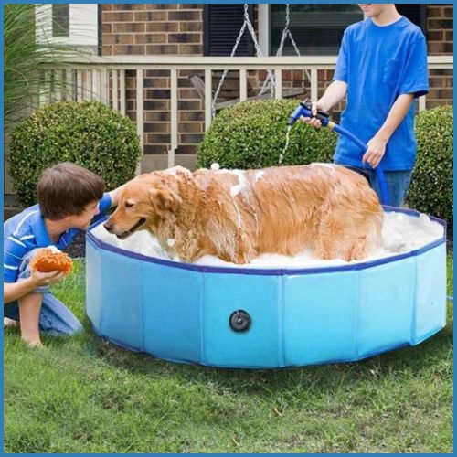 Piscine-pour-chien-pliable-et-anti-chaleur-familles