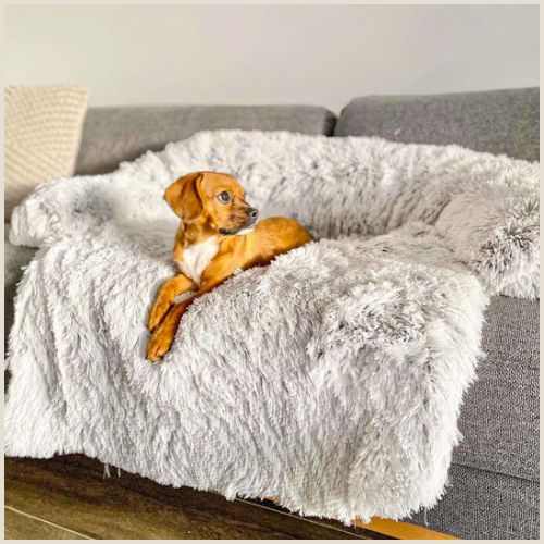 Protection-canapé-chien-imperméable-toutes-tailles-gris