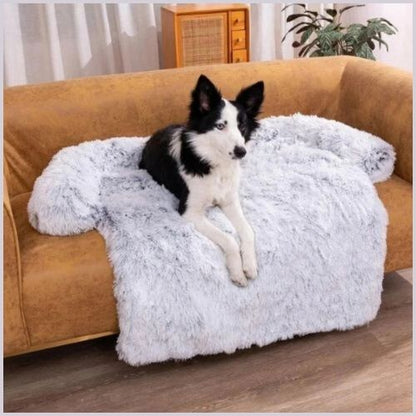 Protection-canapé-chien-gris-clair