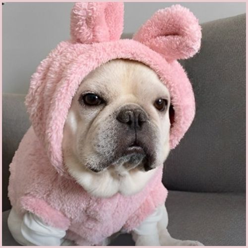 Pull-chien-douillet-avec-capuche-oreilles-de-lapin_rose-oreilles