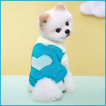 Pull-pour-chien-en-tricot-doux-pour-petite-taille_bleu