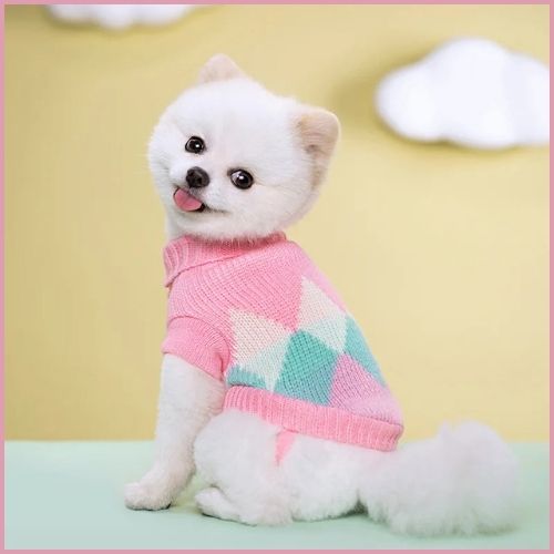 Pull-pour-chien-en-tricot-doux-pour-petite-taille_rose-turquoise