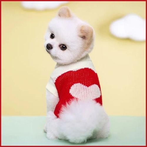 Pull-pour-chien-en-tricot-doux-pour-petite-taille_rouge-blanc