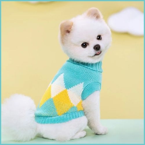 Pull-pour-chien-en-tricot-doux-pour-petite-taille_turquoise