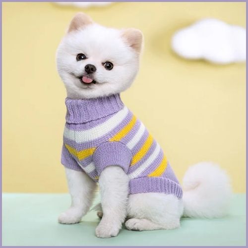 Pull-pour-chien-en-tricot-doux-pour-petite-taille_violet