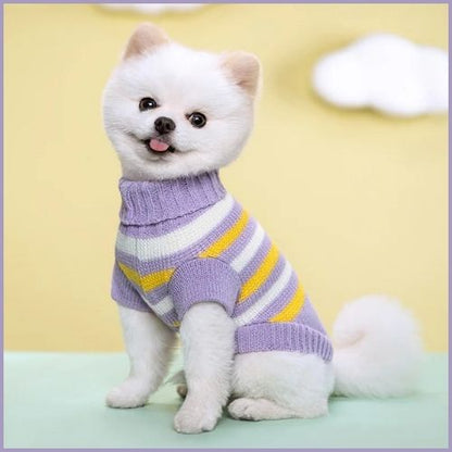 Pull-pour-chien-en-tricot-doux-pour-petite-taille_violet