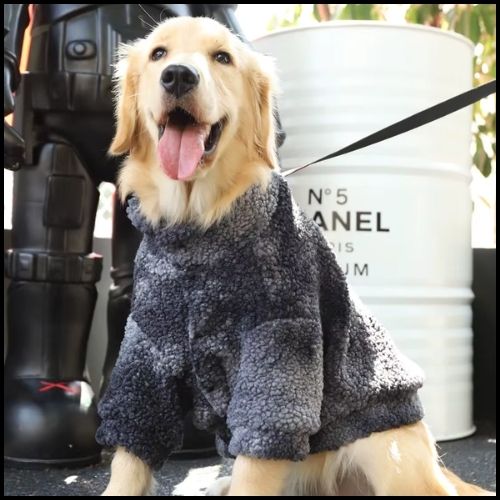 Pull-pour-chien-grande-taille-style-sweat-chaud-rembourré-gris