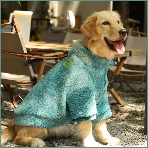 Pull-pour-chien-grande-taille-style-sweat-chaud-rembourré_vert