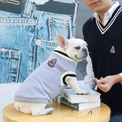 Pull-pour-chien-style-collégien-gris