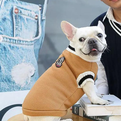 Pull-pour-chien-style-collégien-marron