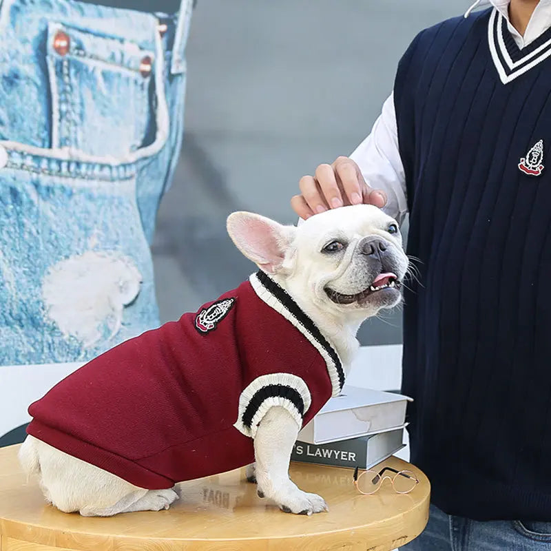 Pull-pour-chien-style-collégien-rouge