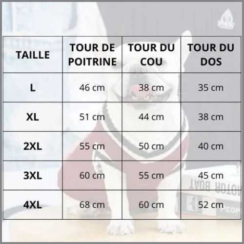 Pull-pour-chien-style-collégien-talle